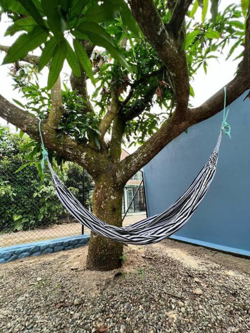 Holiday home Home Acacias Acacias